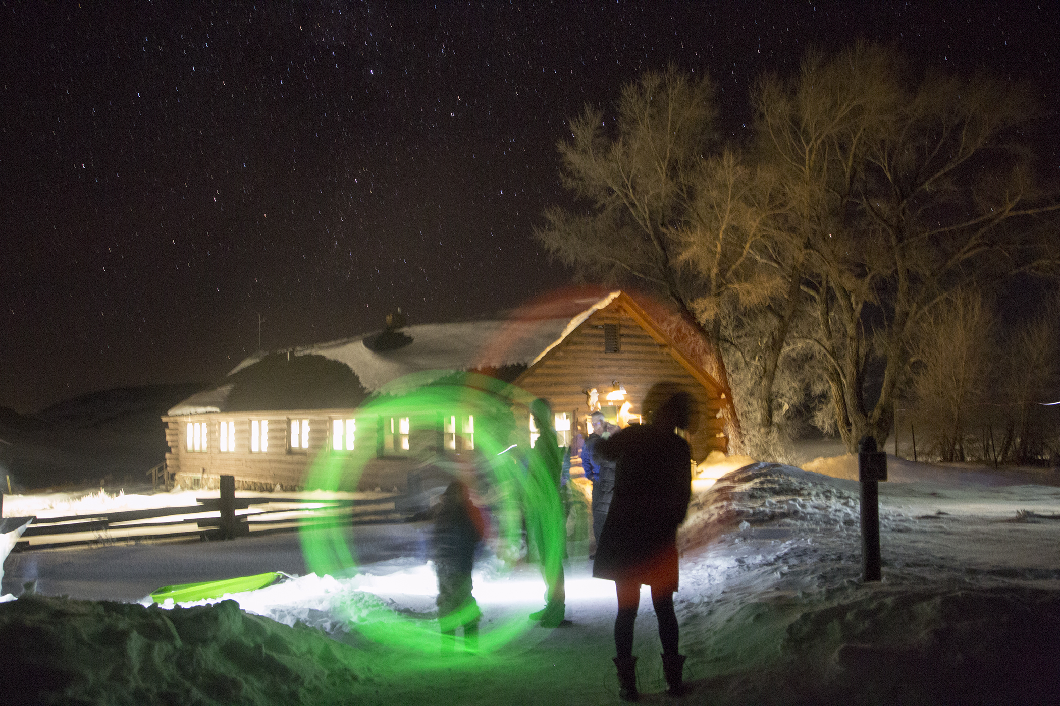 outside the Lamar Buffalo Ranch in Yellowstone National park