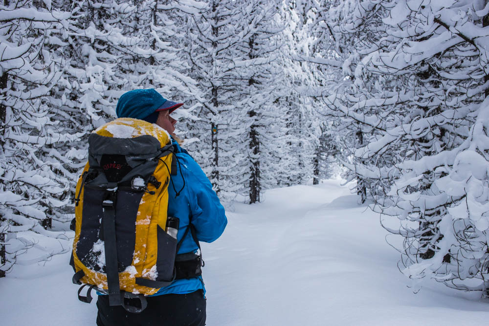 Skiing at Harriman State Park Idaho