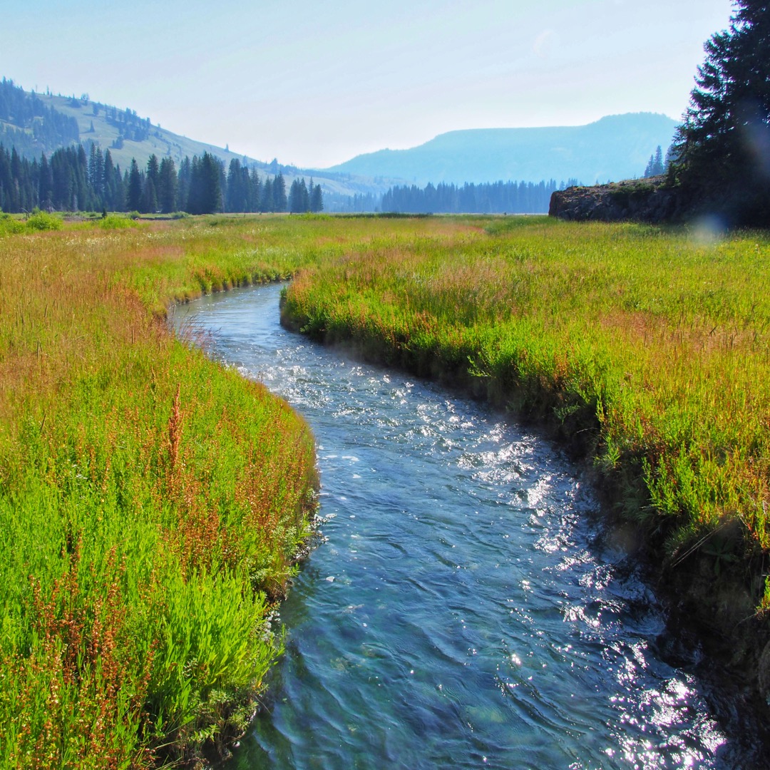 Snake river hot springs in Yellowstone.