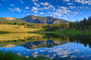 Trout Lake Yellowstone