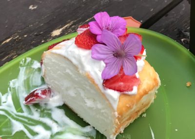 Campsite Angel Food Cake With sticky geranium flowers