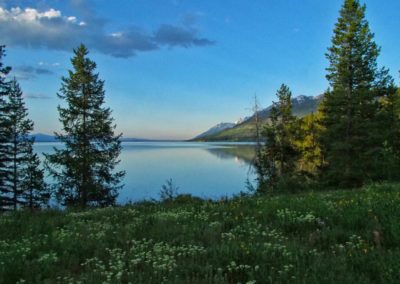 Jackson Lake from Lizard Creek Campground Grand Teton National Park