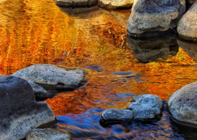 Reflections of fall color along the Gardner River in Yellowstone National Park