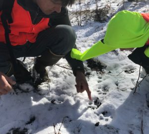 Father and Son Looking at Mountain Lion Tracks in the Snow