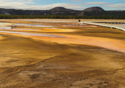 Grand Prismatic Spring Yellowstone