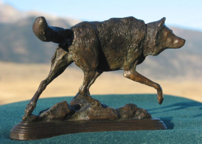 Gray Wolf, Yellowstone’s famous Druid Pack alpha male bronze wildlife sculpture George Bumann