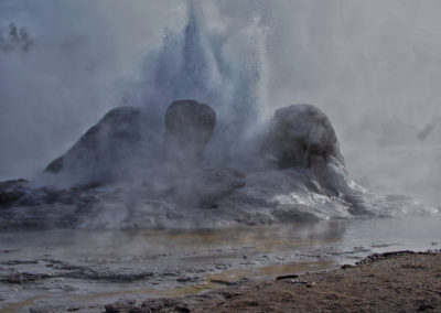 Grotto Geyser erupting in the Old Faithful Geyser Basin