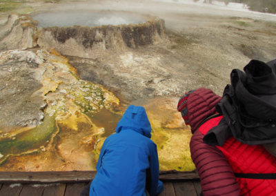 Looking at the ephydrid flies that make their home in Yellowstone's thermal areas