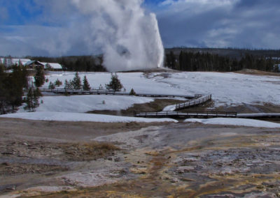 Old Faithful erupting from a distance across the geyser basin