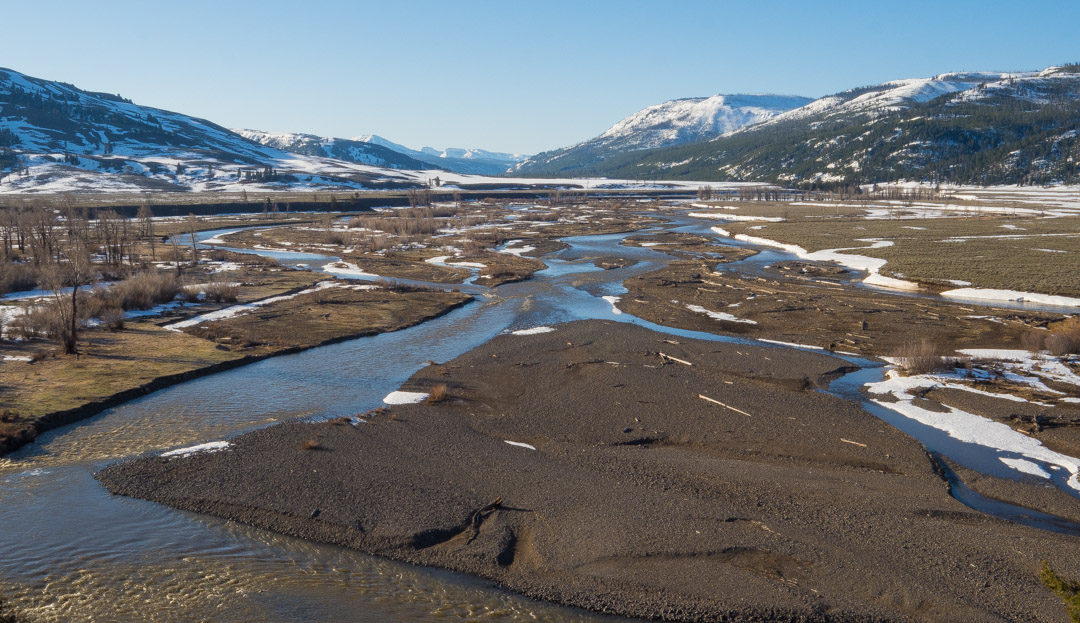 The confluence of the Lamar River and Soda Butte Creek