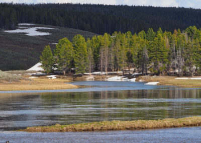 Yellowstone River in Hayden Valley