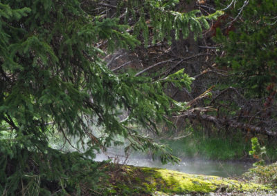 Fog rising from snowmelt stream