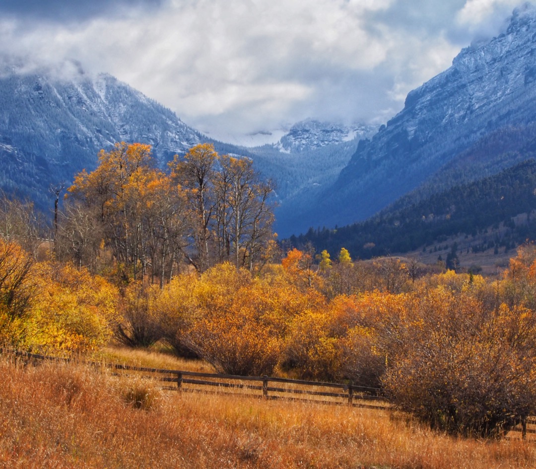 Reveling in Yellowstone's Fall Colors A Yellowstone Life