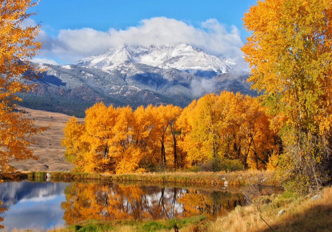 Reveling in Yellowstone's Fall Colors A Yellowstone Life