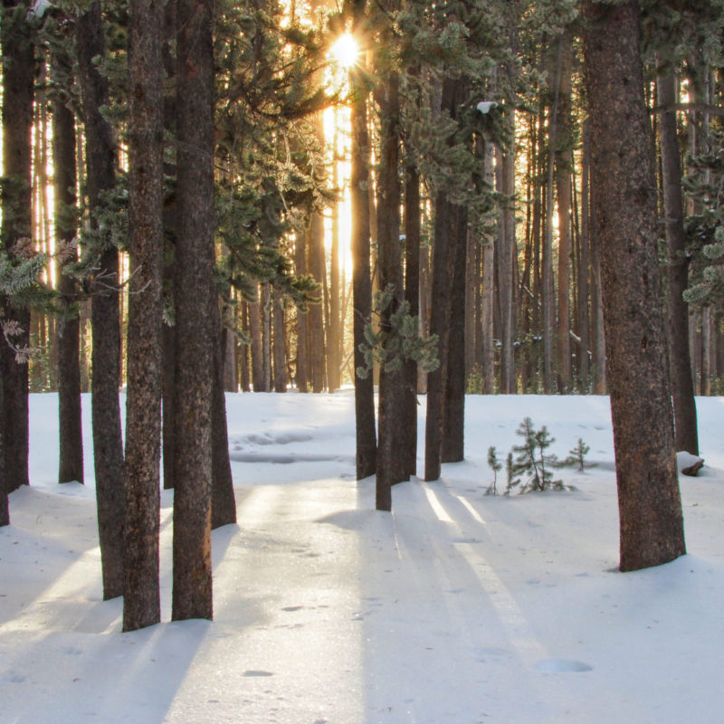 Three day old faithful winter itinerary