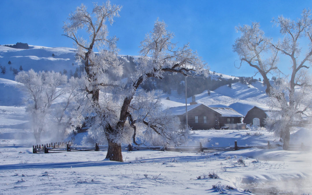 Yellowstone National Park Lamar Buffalo Ranch in Winter