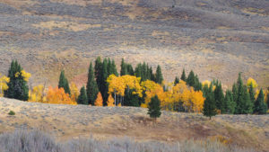 Hiking Yellowstone's Fall Color Slough Creek