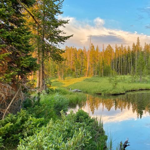 Escaping the World: Paddling on Shoshone Lake - A Yellowstone Life