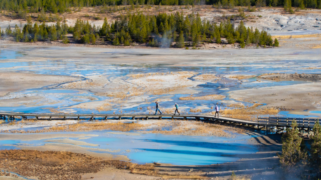 Eight Things You Need To Know Before Visiting Yellowstone - A ...