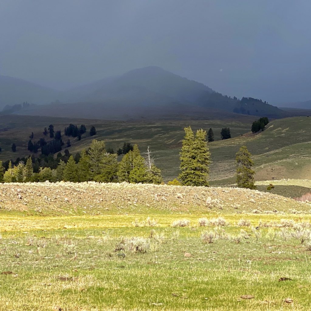 spring storm Hellroaring Yellowstone backpack