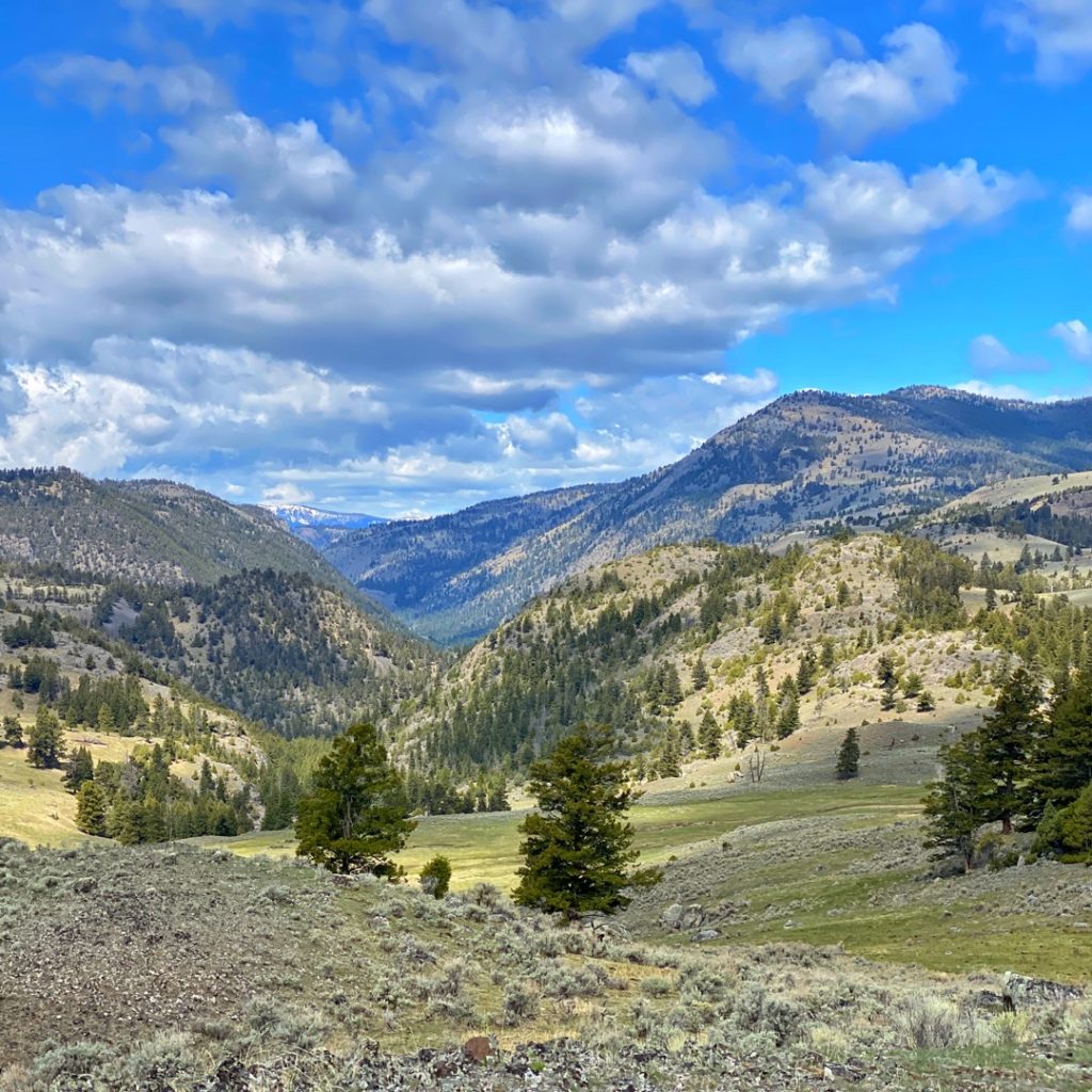 Hellroaring Yellowstone backpacking trip