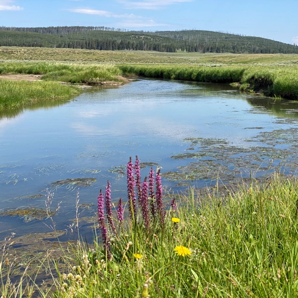 backpacking pelican valley creek