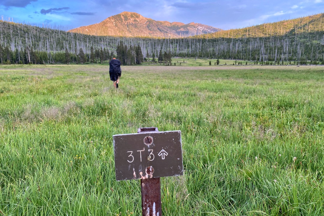 Pelican creek hotsell trail yellowstone