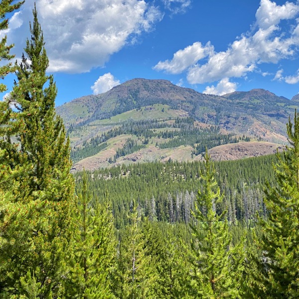 Backpacking Pelican Valley to Lamar Valley peaks