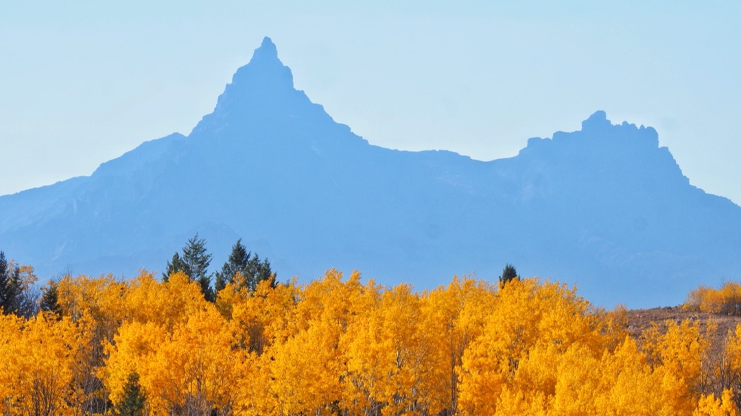 Camping in Yellowstone's fall color pilot and index peaks