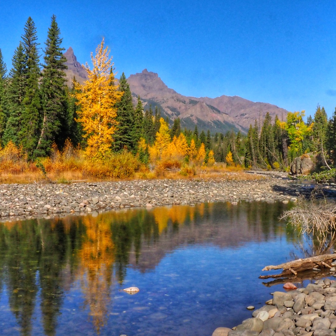 Camping in Yellowstone's fall color creek reflections