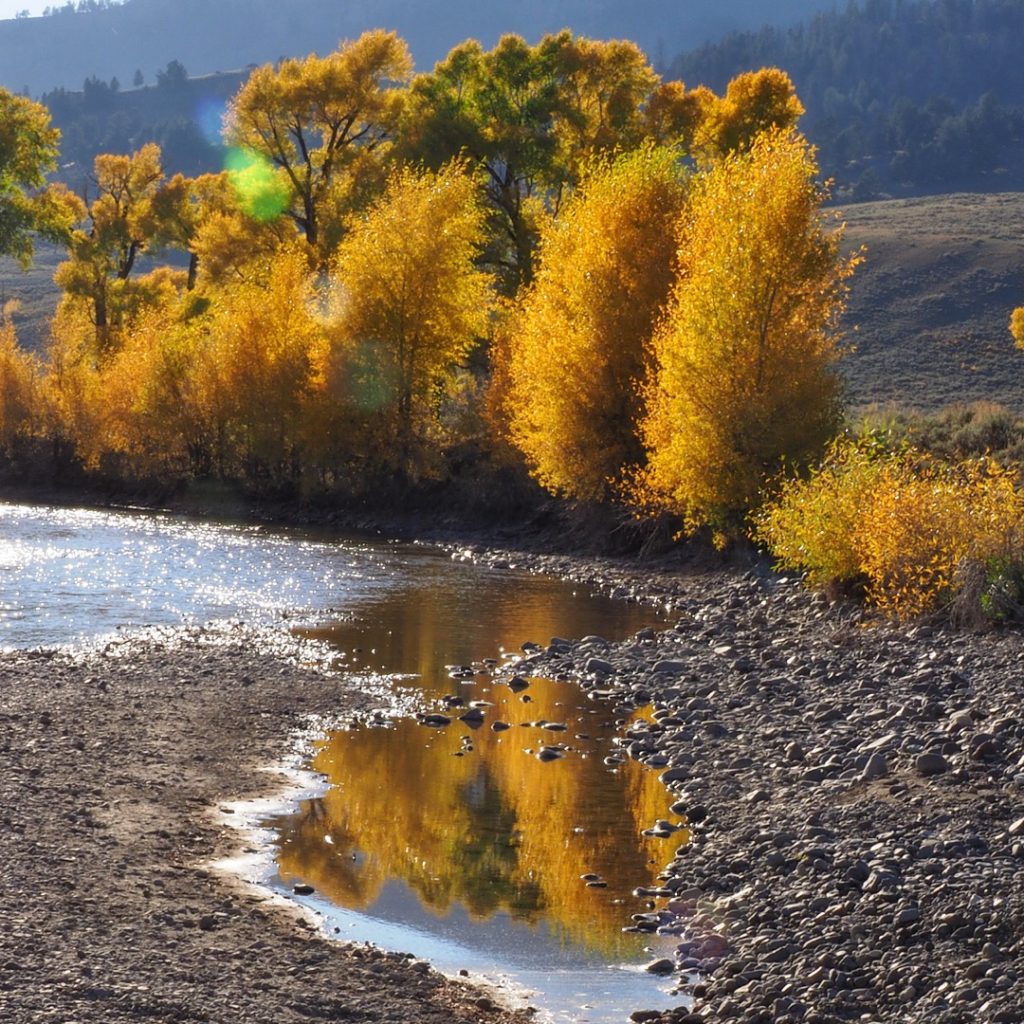 Camping in Yellowstone's fall color reflection