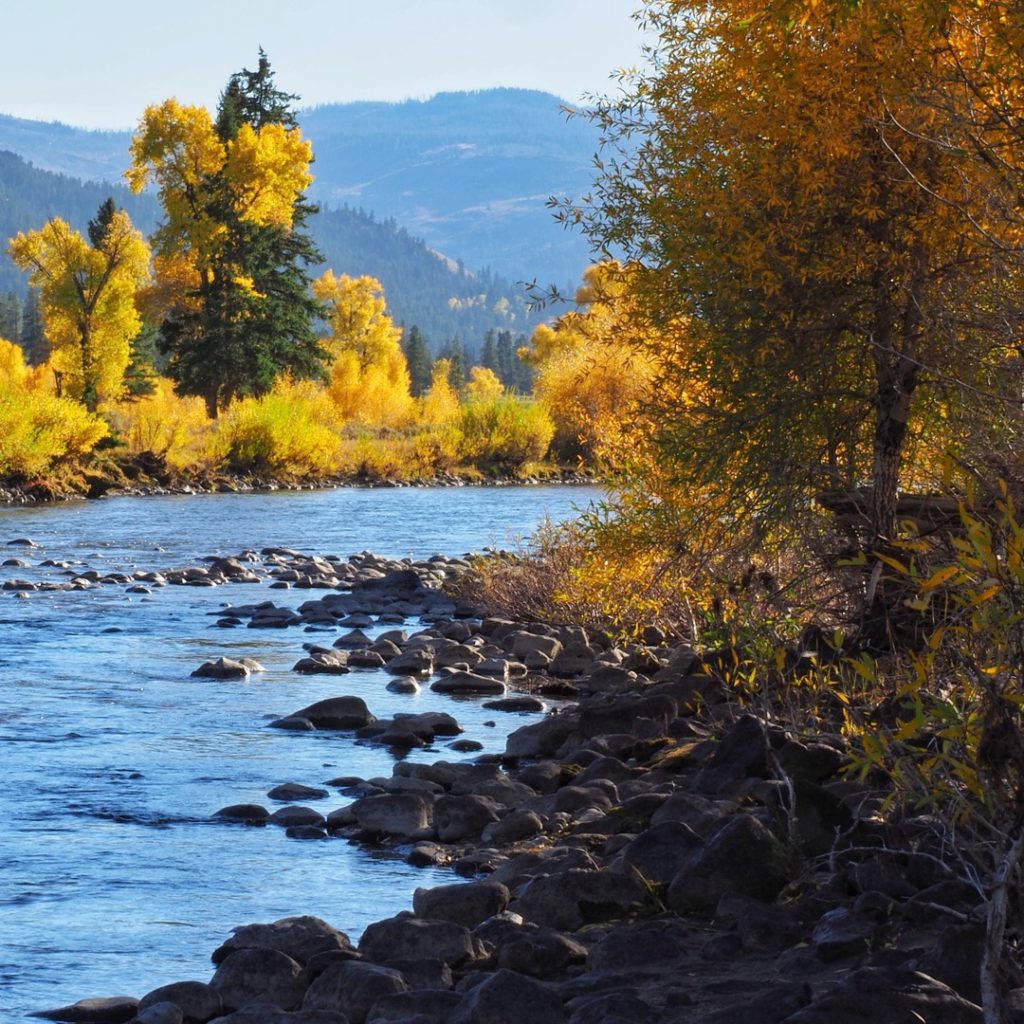 Camping in Yellowstone's fall color Soda Butte Creek