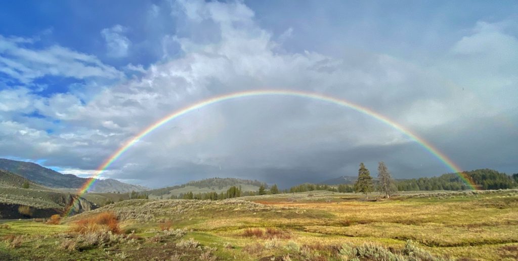 Serendipity and Lingering in Yellowstone Full Rainbow