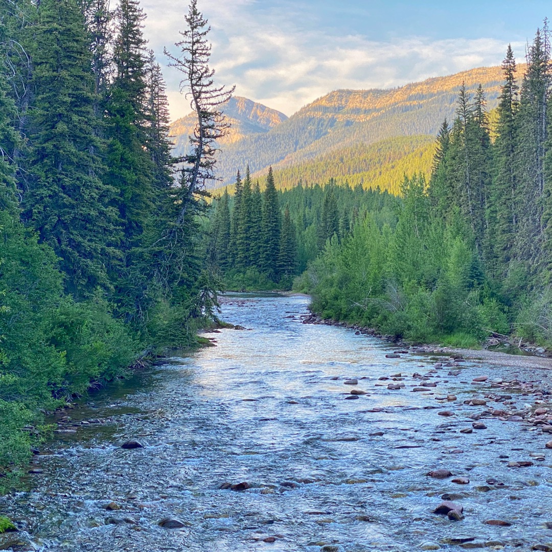 Backpacking Bob Marshall Wilderness Sun River