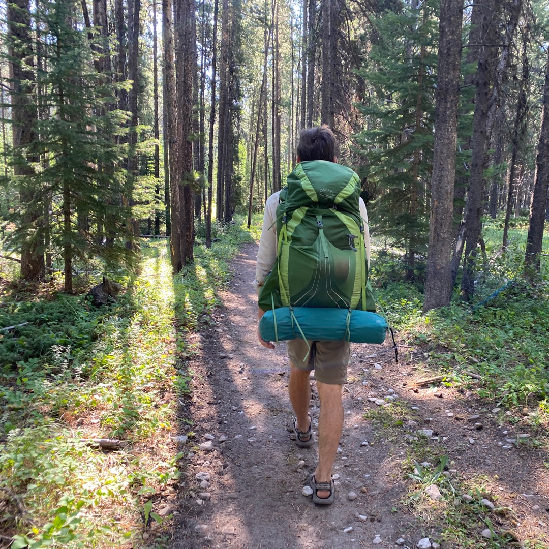 Backpacking Bob Marshall Wilderness hiking through trees