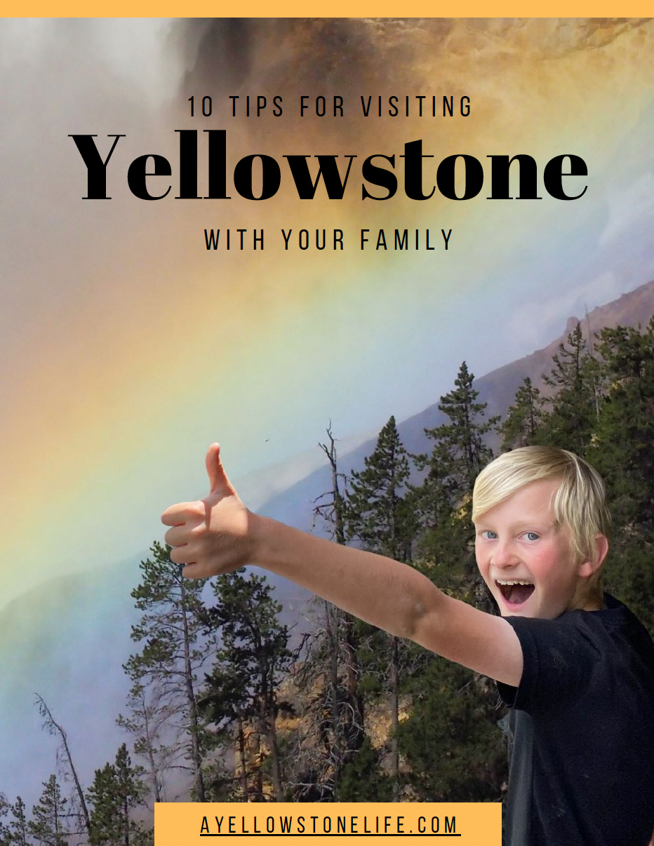 visiting yellowstone with your family free guide