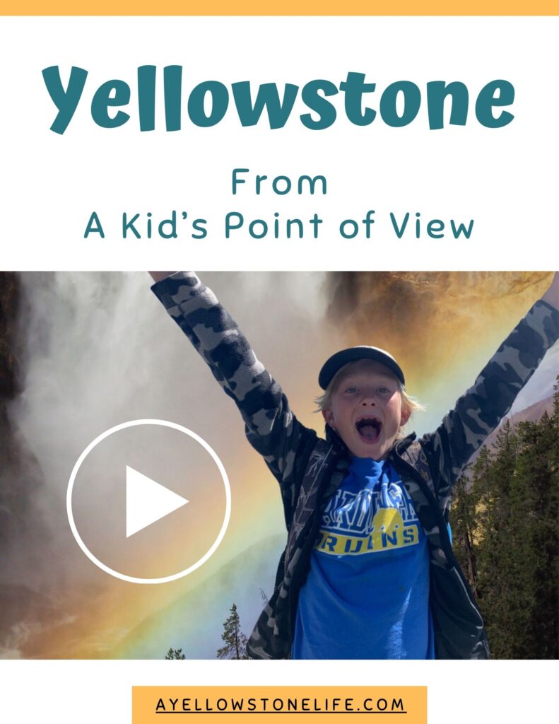 Yellowstone from a kid's point of view free video