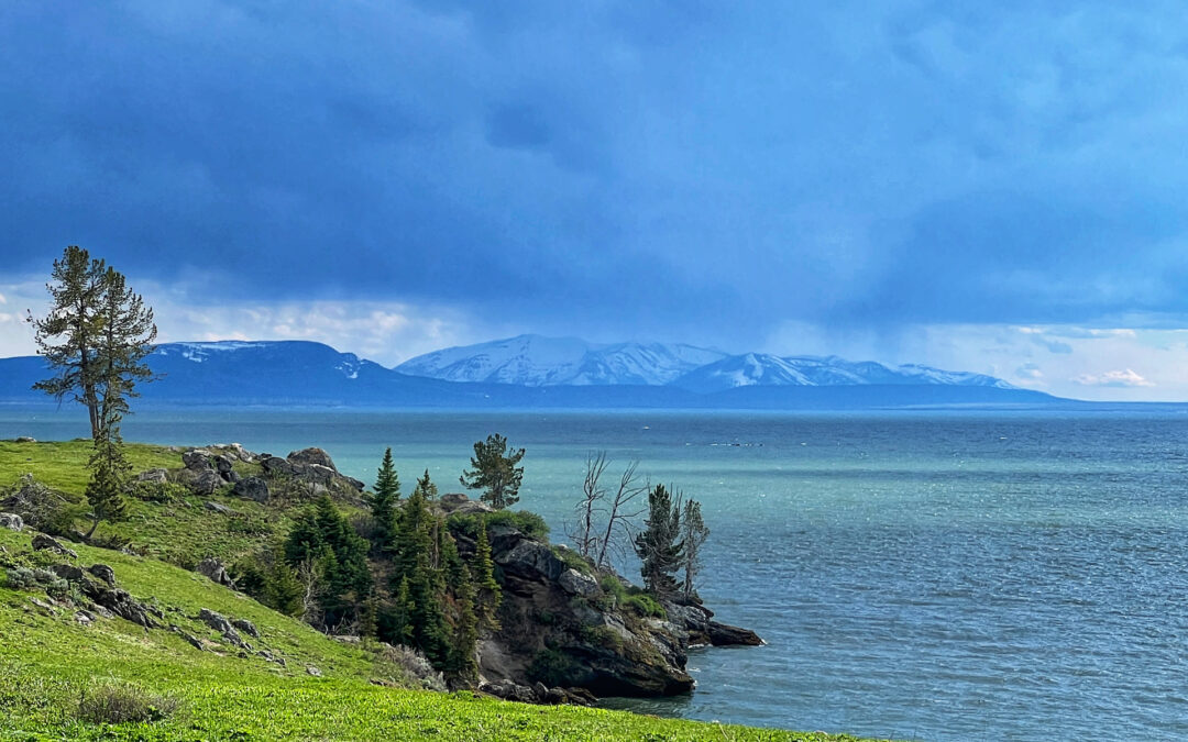 Yellowstone Lake Journal