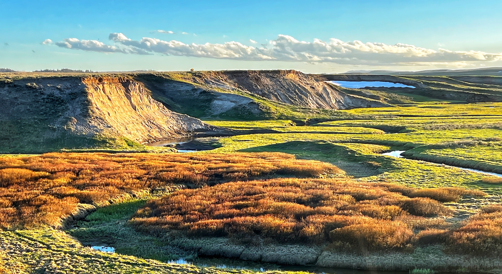 Trout Creek in Yellowstone's Hayden Valley