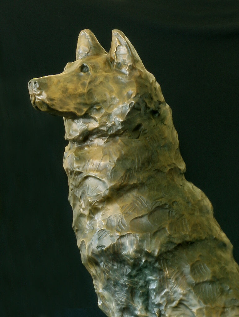 Valley Vigil bronze wolf 42 sculpture detail