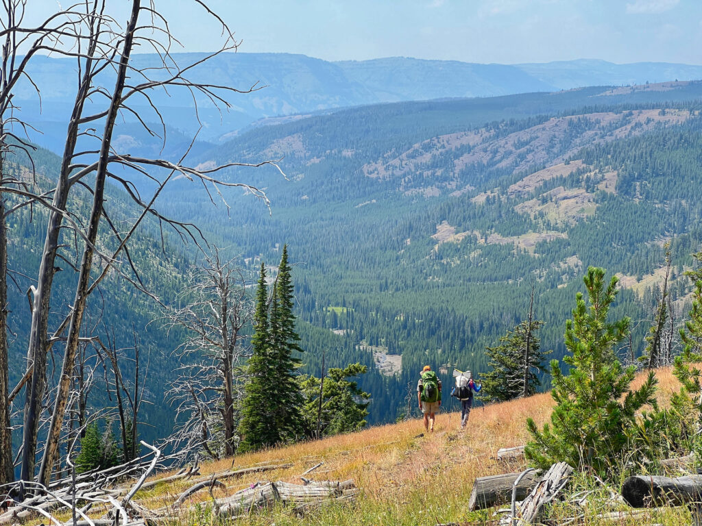 Dropping into Miller Creek in Yellowstone National Park