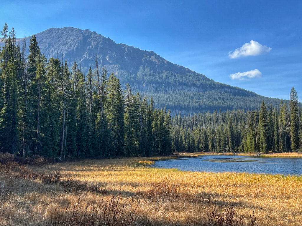 Gallatin National Forest outside Cooke City