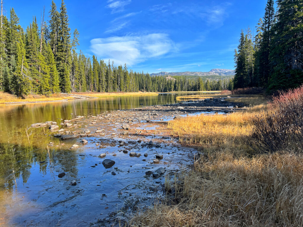 Gallatin National Forest outside Cooke City 1